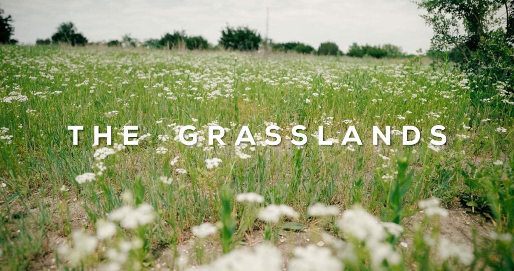 The Grasslands Aledo Texas